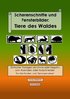 Scherenschnitte und Fensterbilder: Tiere des Waldes - Buch - M